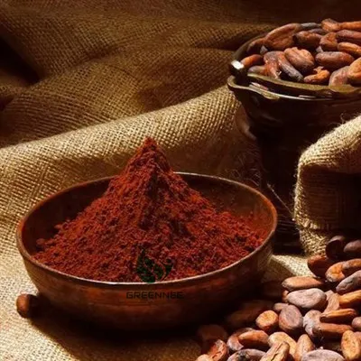 🍫 polvere di pigmento cacao con buccia (E45) - coltivato selvaggio