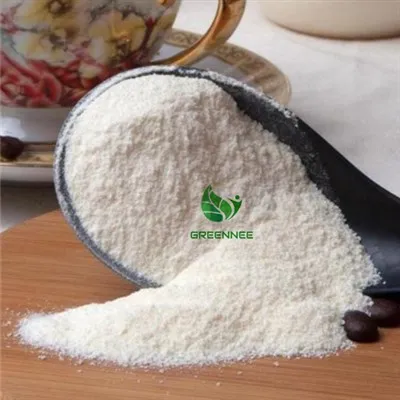 Succo di cocco in polvere