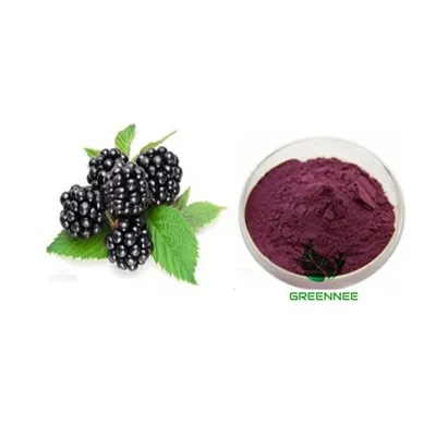 Blackberry in polvere seccata