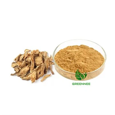 Estratto di radice Glehniae da 10:1 a 200:1