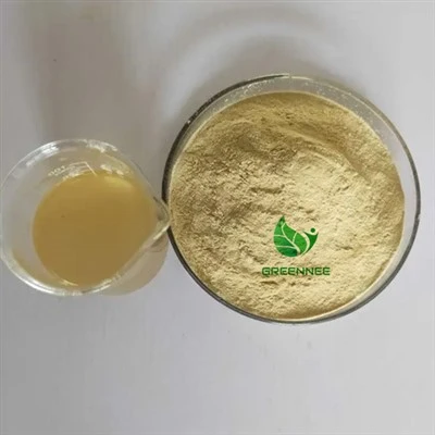 Silybum marianum estratto Silymarin 80%(UV)